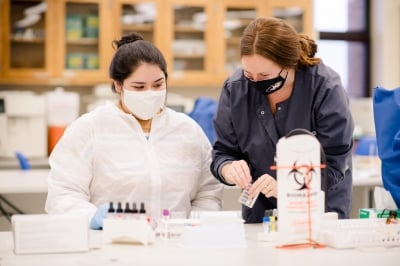 Two people look at blood sample gel cards in a laboratory.