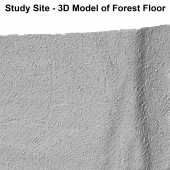 A 3D image of the Hiawatha Forest site shows that depicts features of the landscape like rises in the land and creek beds, as well as areas of potential cultural interest.