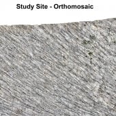 An orthomosaic image of the Hiawatha Forest study site.