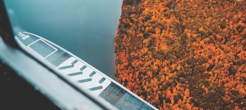 Fall colored leaves seen from a window high up.