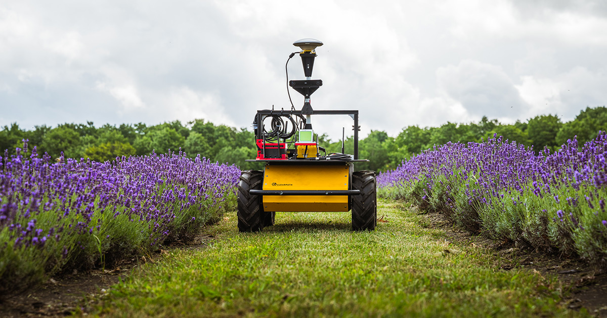 The Scent of Success | 2025 Tech Magazine