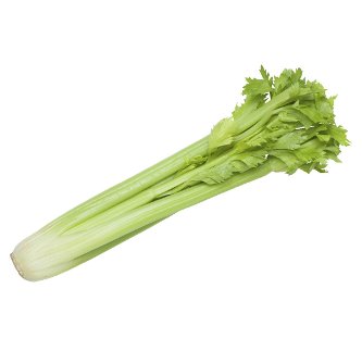 Celery