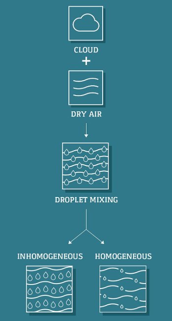 Graphic showing cloud plus dry air forms droplet mixing either being inhomogeneous or homogeneous.