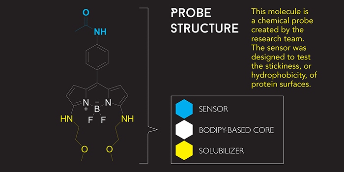 Probe Structure