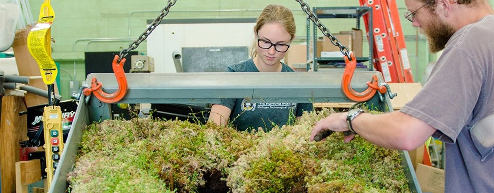 Between macro- and micro-, the Goldilocks scale for controlling an experiment while still using real-world systems. (see also: peat bog in a box.)