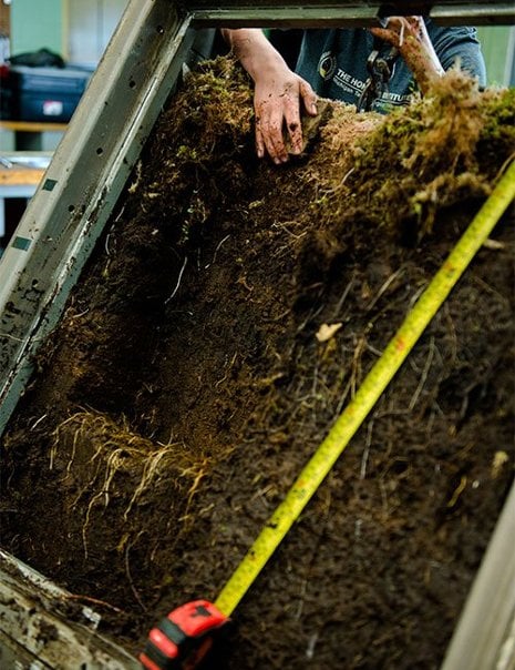 Chunks of soggy peat make for dirty hands and excellent chemical analysis.