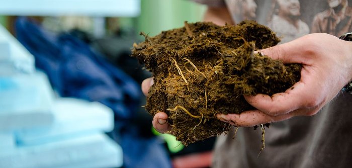 The peat in Kane�s hands trapped a couple roots. 