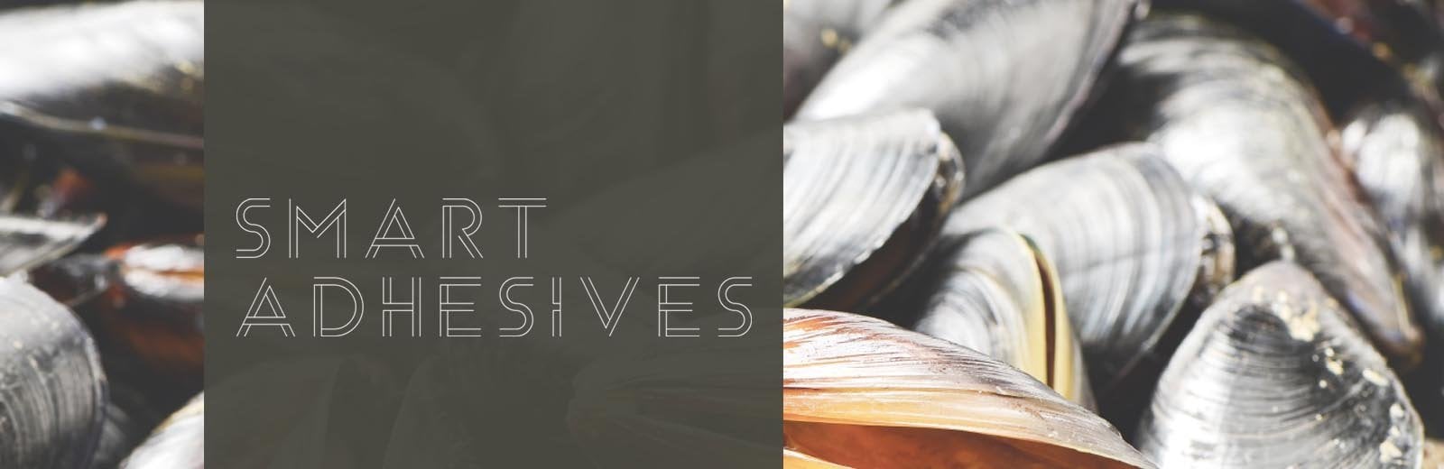 Smart Adhesives text over mussel shells.