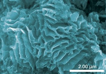 Microscopic view of a material that flows in coral-like ridges.