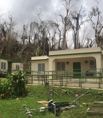 Research station after the hurricane showing tree and facility damage.