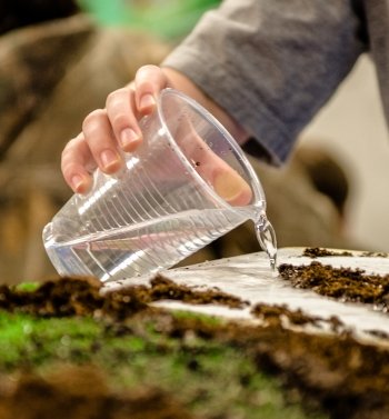 Water being poured from a cup onto a land model.