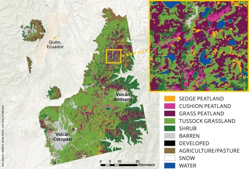 Map of peatlands showing its composition.