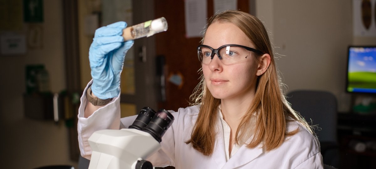 Student looking at a sample in a tube.