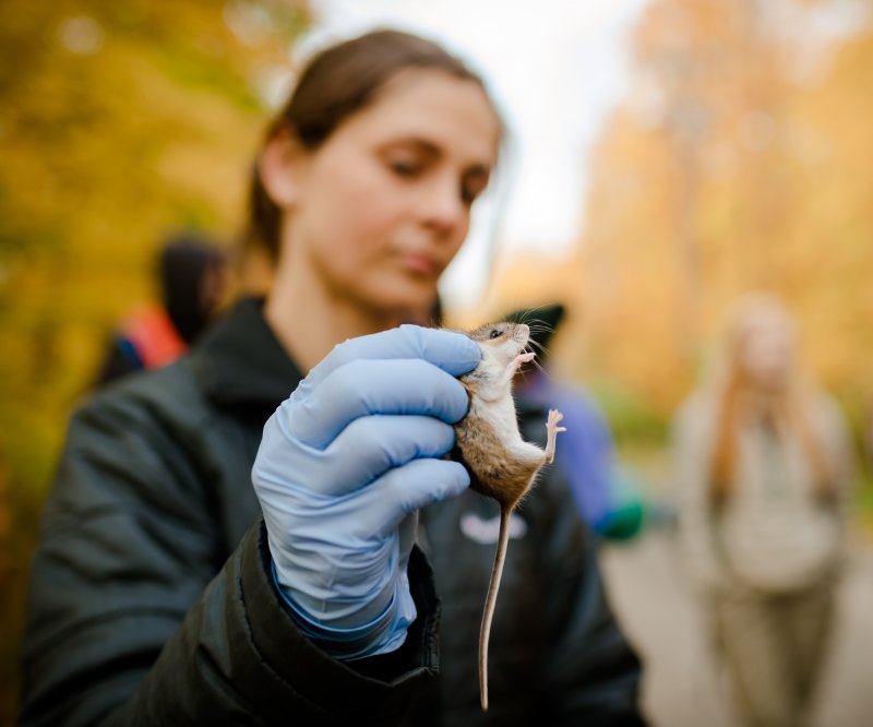 Researcher holding a mouse.