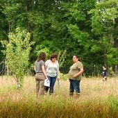 Three people stand in an orchard field with small fruit trees close by and larger deciduous ones in the background.