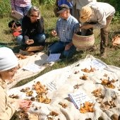 Group gathers around a sheet laden with mushrooms.