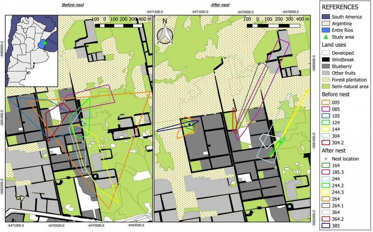 Map showing foraging patterns, described in the caption.