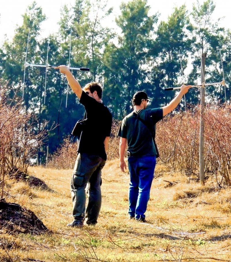 Two men walk down a row in a blueberry field in summer holding antennas in the air to track bees in northern Argentina.