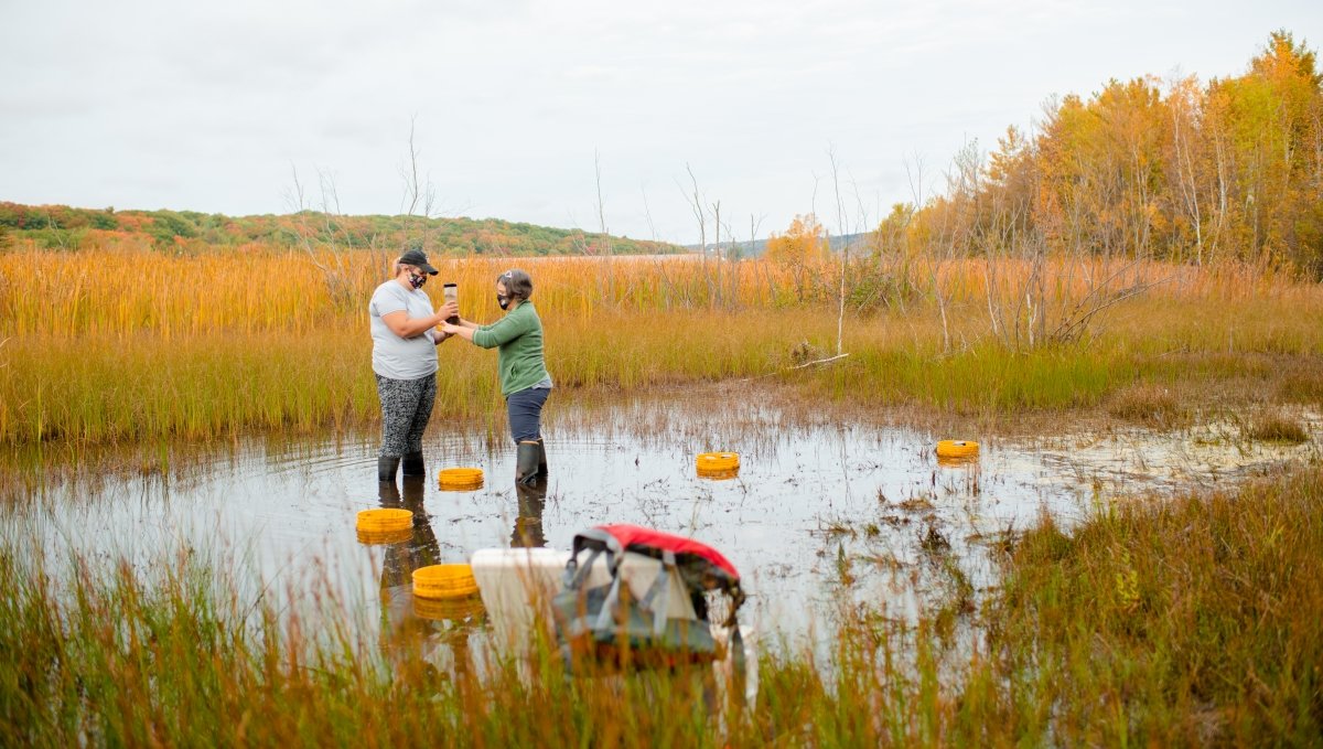 Two people in muck boots stand in a small wetland with field equipment as they take a sample.