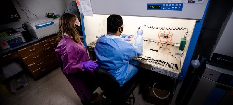 Two researchers working in a fume hood.