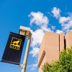 Black banner with a Tech logo hanging on a pole with the MEEM in the background.