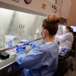 Two workers preparing testing samples.