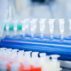 Vials of samples lined up in a tray.