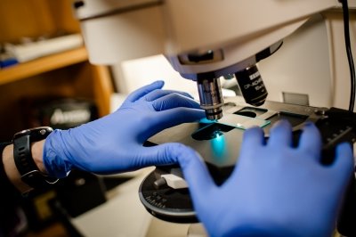 Blue-gloved hands putting a slide on a microscope.