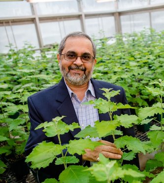 Chandrashekhar Joshi