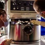 lab