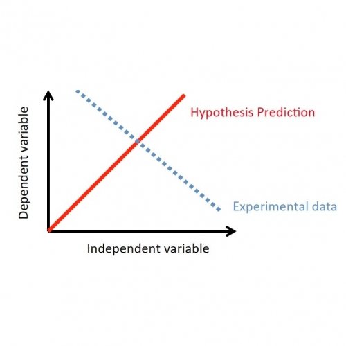 Hypothesis not true shows a trend opposite to experimental data.