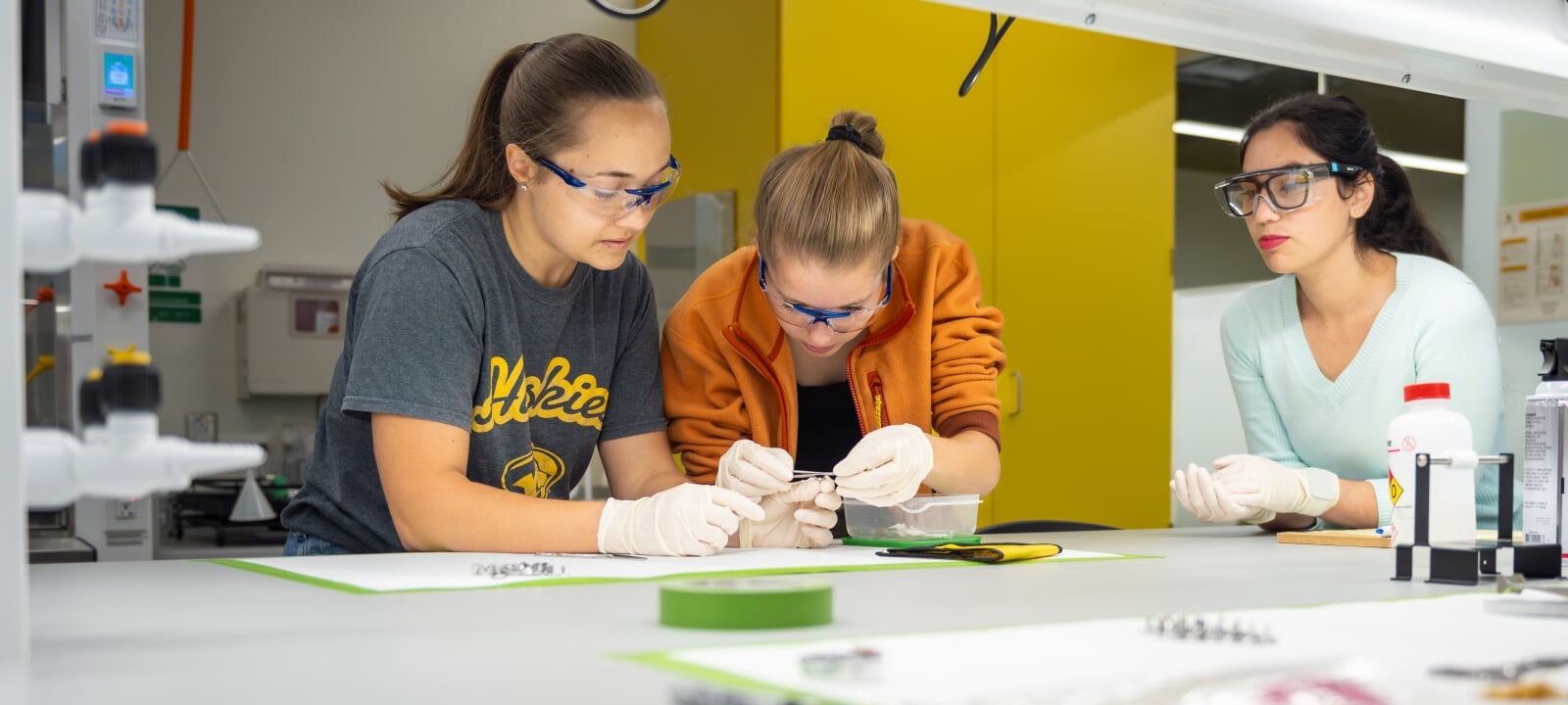Department of Materials Science and Engineering