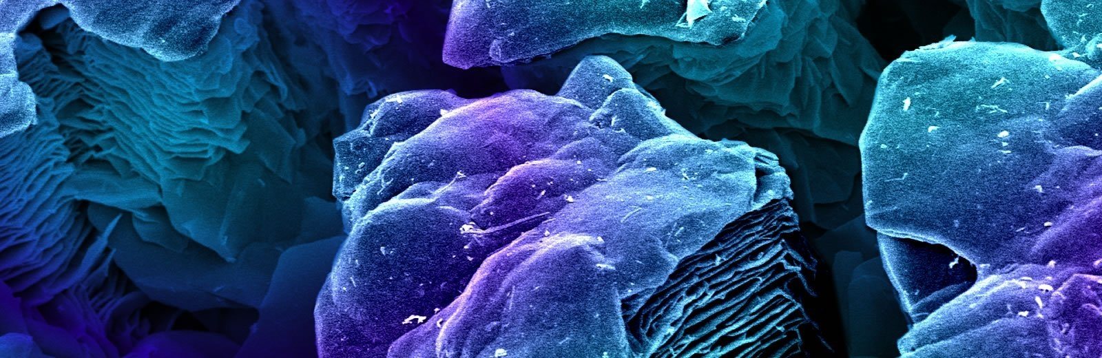 Department of Materials Science and Engineering Michigan