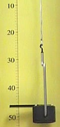 Suspended weight with wire length indicated by a vertical ruler.