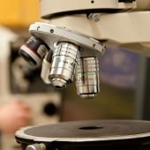 Microscope slide plate and lenses.