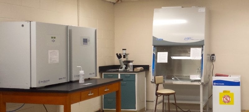 Celll Culture Laboratory