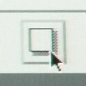 Get Image button