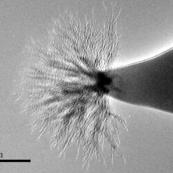 Example of an TEM emitter