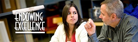 Endowment Opportunities