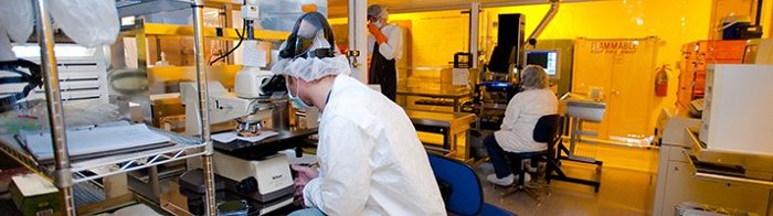 Researchers work in a lab