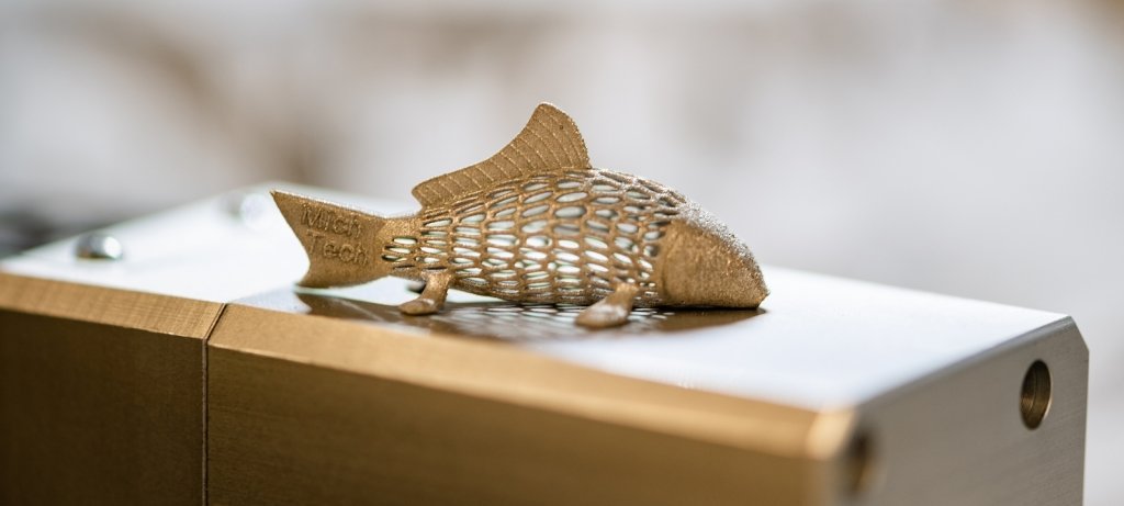 Metal printed fish.