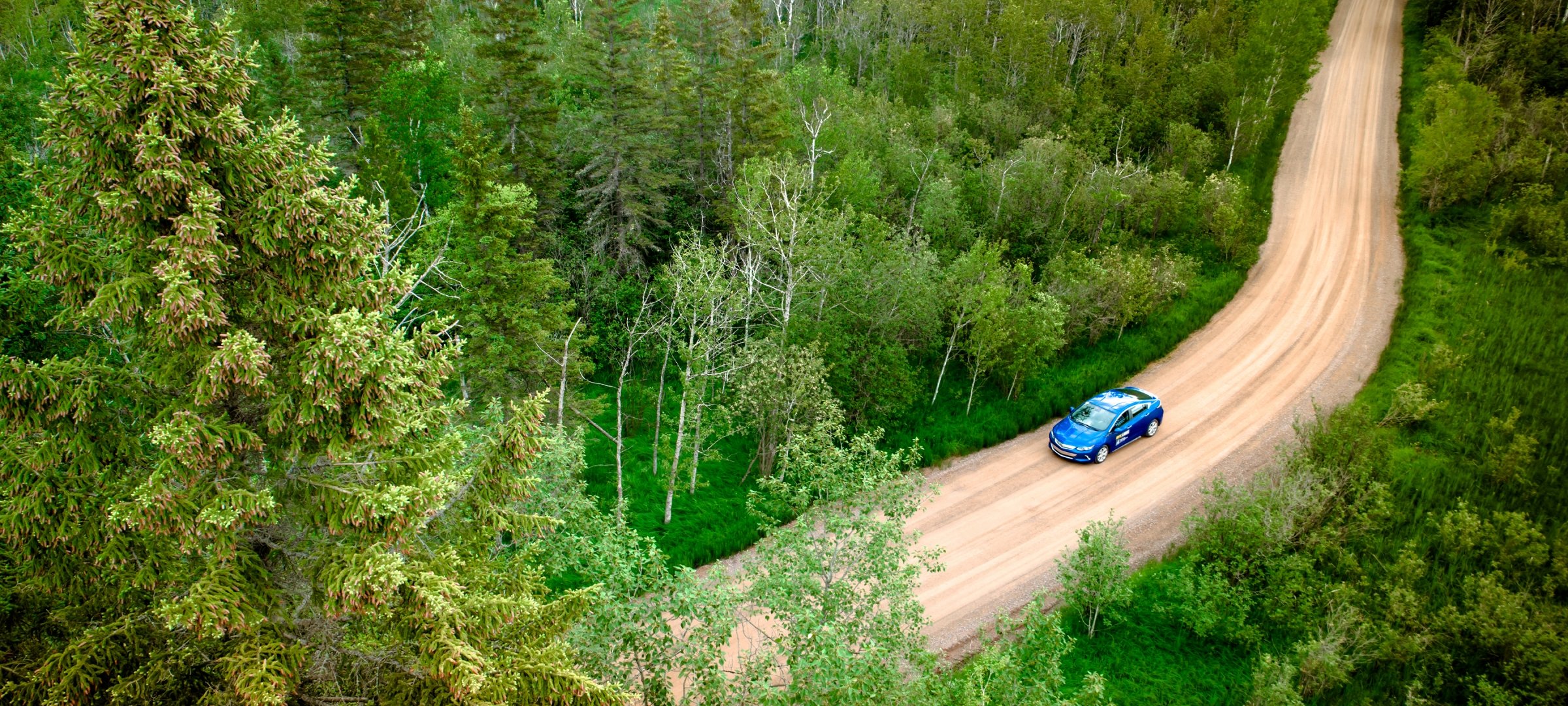 Aerial photo of blue car on dirt road in forest