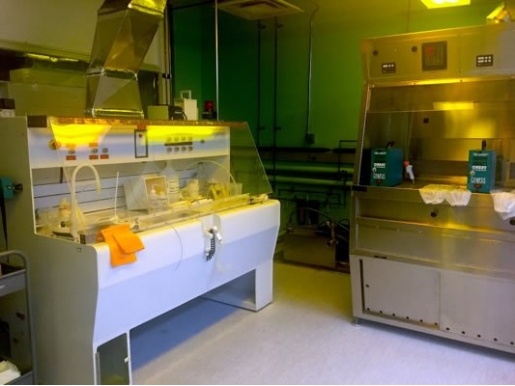 Porous Silicon Facilities in the lab