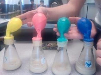 Yeast Balloon demo