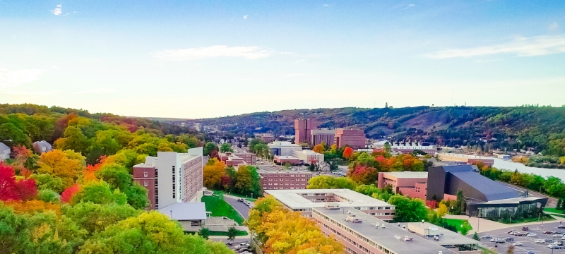 Campus view in autumn.
