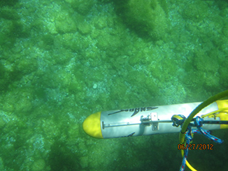 Sensor under water.