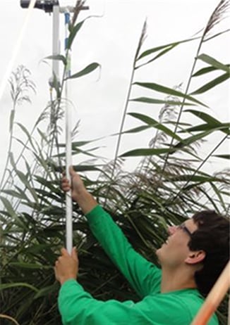 Person holding a pole.