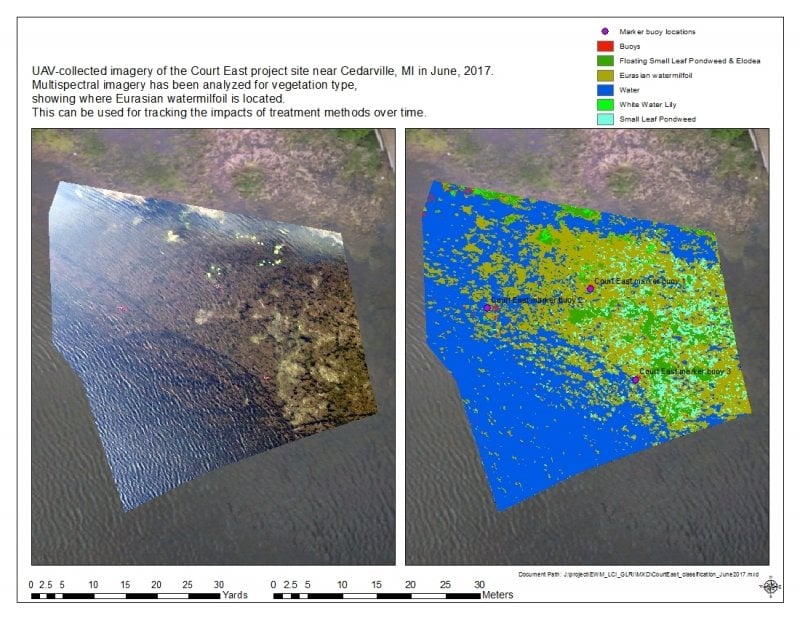 UAV images in real color and multispectral.