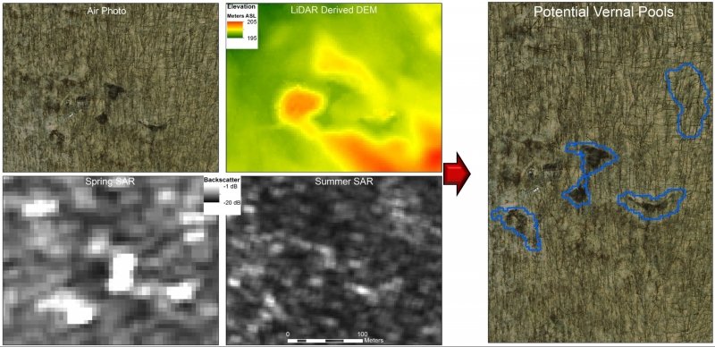 Vernal pool images—air photo, LiDAR derived DEM, Spring SAR, Summer SAR, and potential pools circled in an air photo.