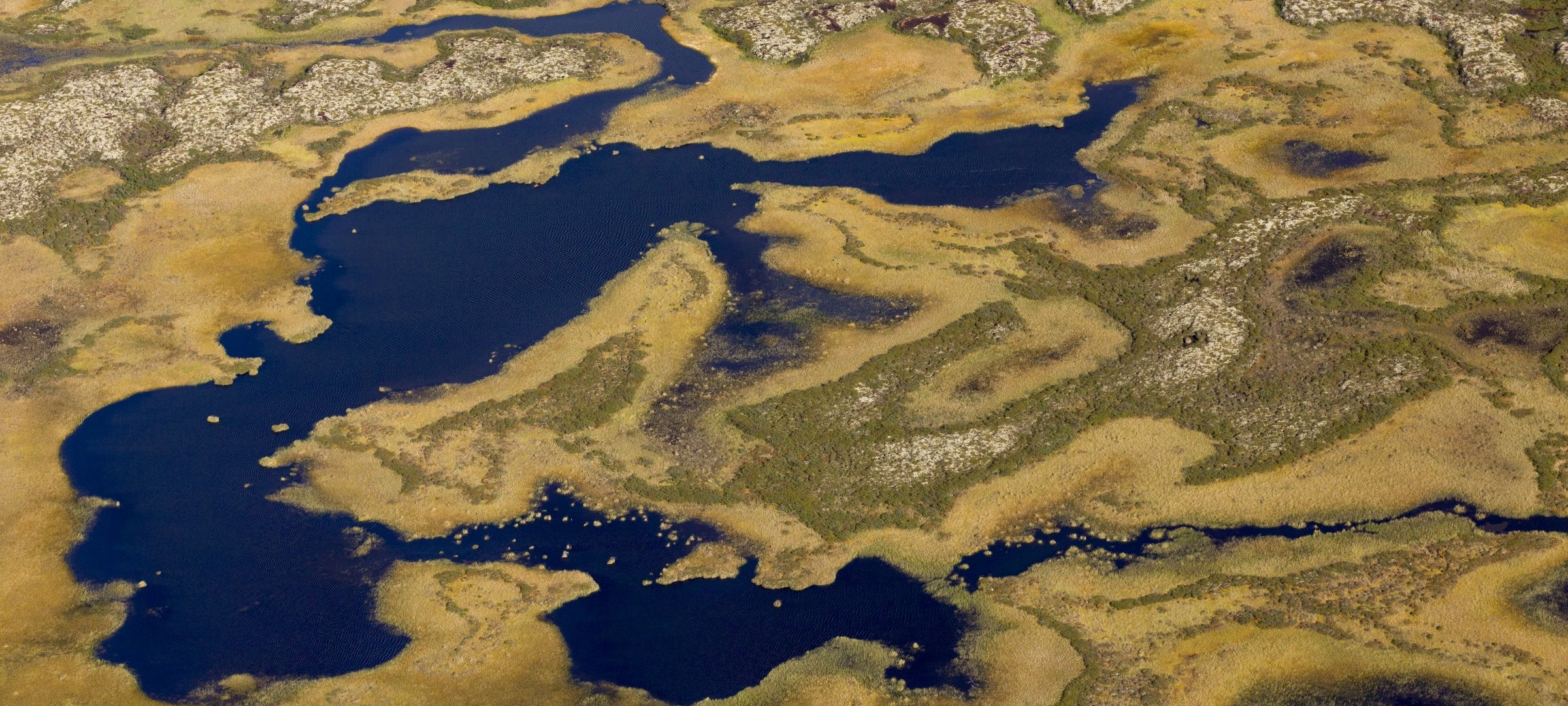 Arctic tundra wetlands.